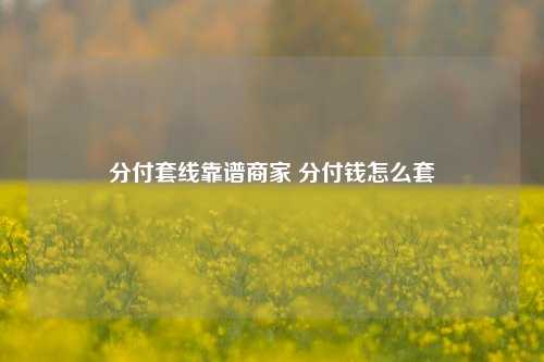 分付套线靠谱商家 分付钱怎么套