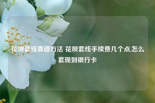 花呗套线靠谱方法 花呗套线手续费几个点,怎么套现到银行卡