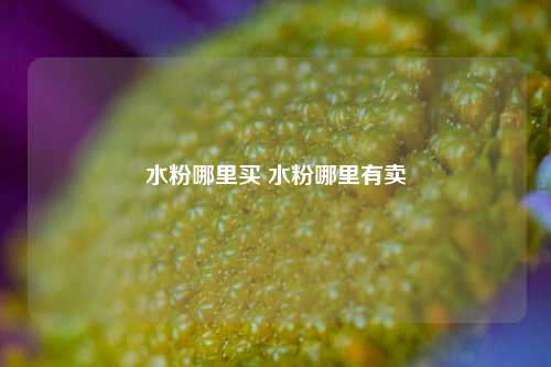 水粉哪里买 水粉哪里有卖