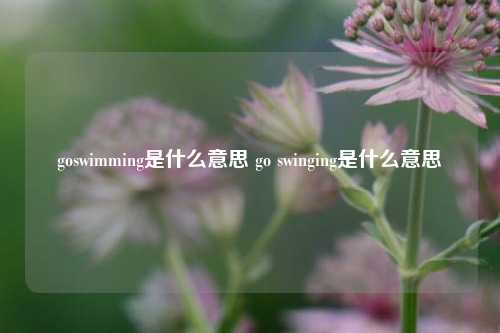 goswimming是什么意思 go swinging是什么意思