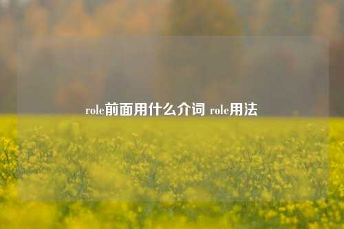 role前面用什么介词 role用法