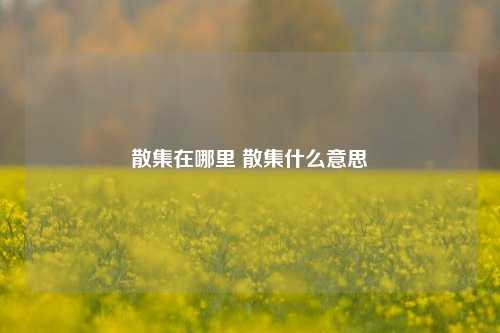 散集在哪里 散集什么意思