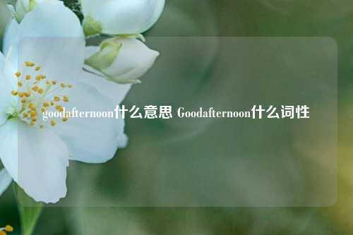 goodafternoon什么意思 Goodafternoon什么词性