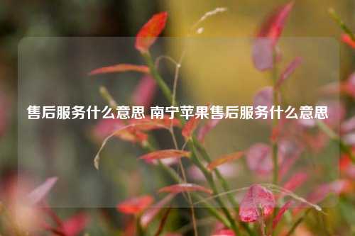 售后服务什么意思 南宁苹果售后服务什么意思