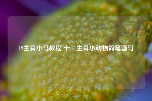 12生肖小马教程 十二生肖小动物简笔画马