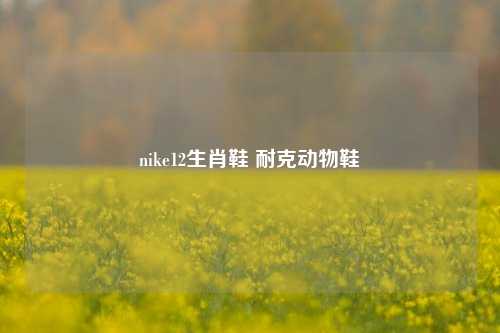 nike12生肖鞋 耐克动物鞋