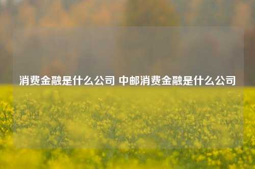 消费金融是什么公司 中邮消费金融是什么公司