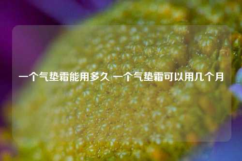 一个气垫霜能用多久 一个气垫霜可以用几个月