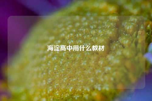 海淀高中用什么教材