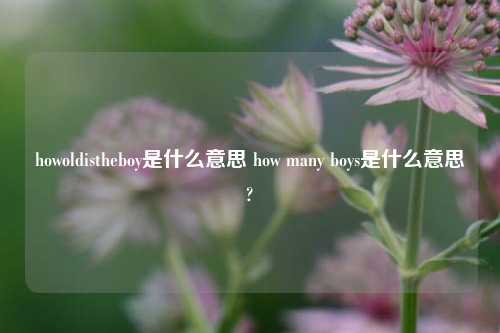 howoldistheboy是什么意思 how many boys是什么意思?