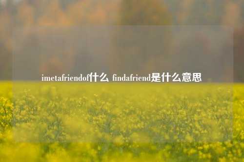 imetafriendof什么 findafriend是什么意思