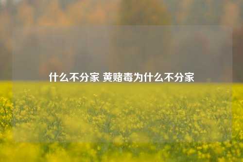 什么不分家 黄赌毒为什么不分家