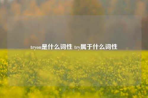 tryon是什么词性 try属于什么词性