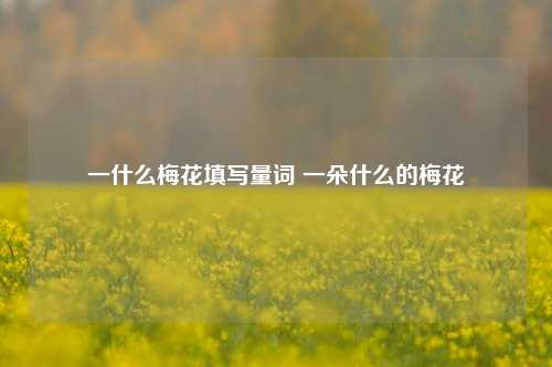 一什么梅花填写量词 一朵什么的梅花