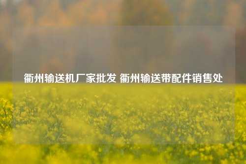 衢州输送机厂家批发 衢州输送带配件销售处