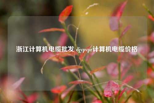 浙江计算机电缆批发 djypvpr计算机电缆价格