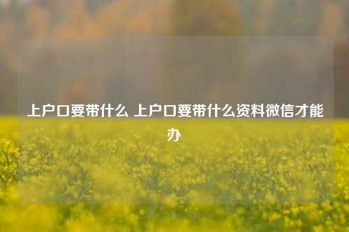 上户口要带什么 上户口要带什么资料微信才能办