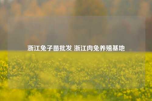 浙江兔子苗批发 浙江肉兔养殖基地