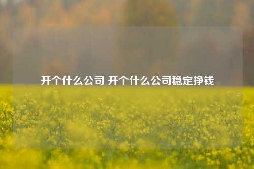 开个什么公司 开个什么公司稳定挣钱