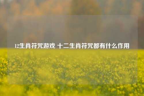 12生肖符咒游戏 十二生肖符咒都有什么作用