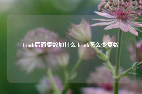 brush后面复数加什么 brush怎么变复数