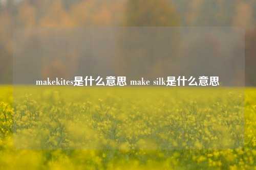 makekites是什么意思 make silk是什么意思