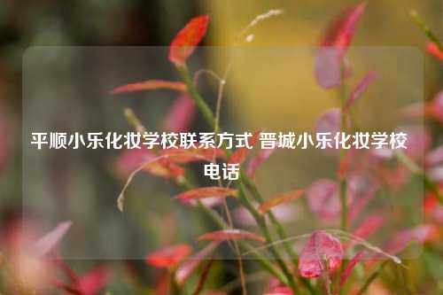 平顺小乐化妆学校联系方式 晋城小乐化妆学校 电话