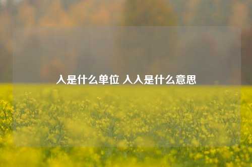 入是什么单位 入入是什么意思