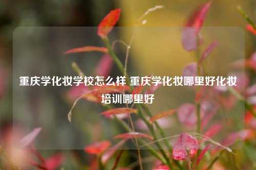 重庆学化妆学校怎么样 重庆学化妆哪里好化妆培训哪里好