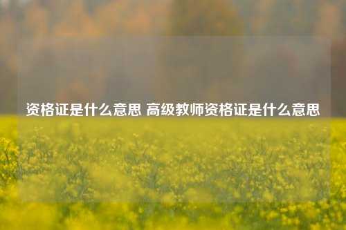 资格证是什么意思 高级教师资格证是什么意思