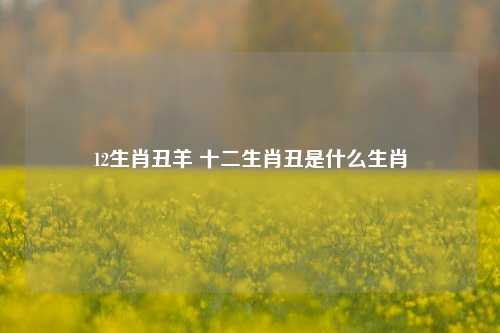 12生肖丑羊 十二生肖丑是什么生肖