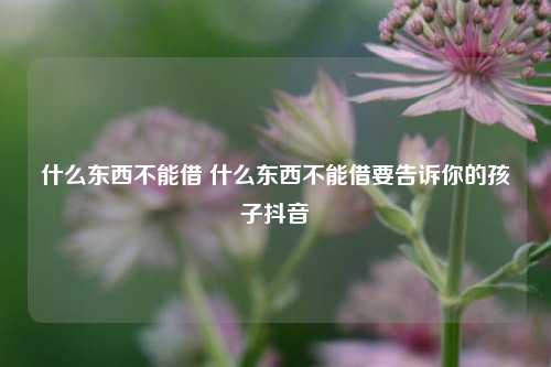 什么东西不能借 什么东西不能借要告诉你的孩子抖音