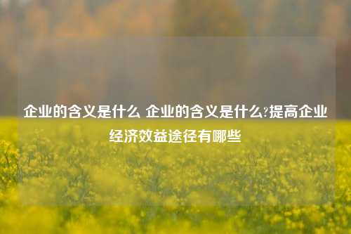 企业的含义是什么 企业的含义是什么?提高企业经济效益途径有哪些