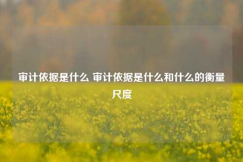 审计依据是什么 审计依据是什么和什么的衡量尺度