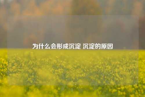 为什么会形成沉淀 沉淀的原因