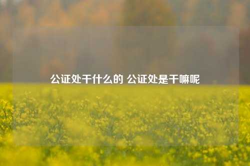 公证处干什么的 公证处是干嘛呢