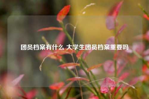 团员档案有什么 大学生团员档案重要吗