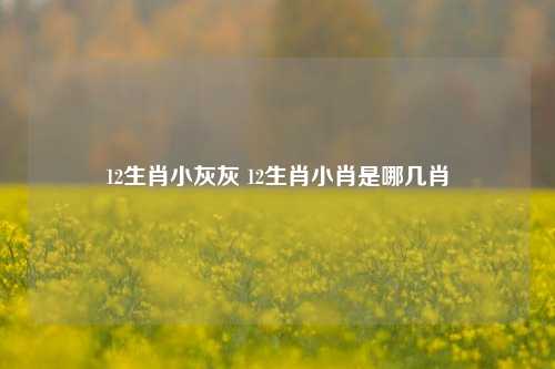 12生肖小灰灰 12生肖小肖是哪几肖