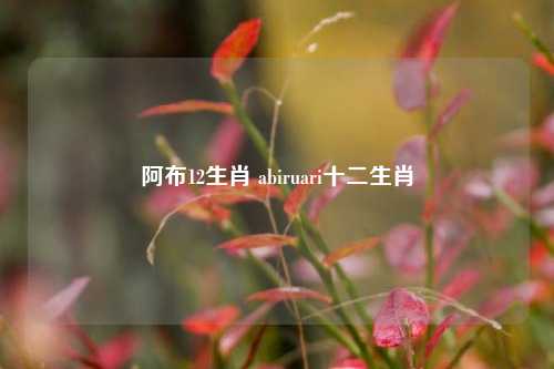 阿布12生肖 abiruari十二生肖