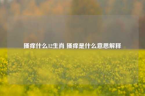 搔痒什么12生肖 搔痒是什么意思解释