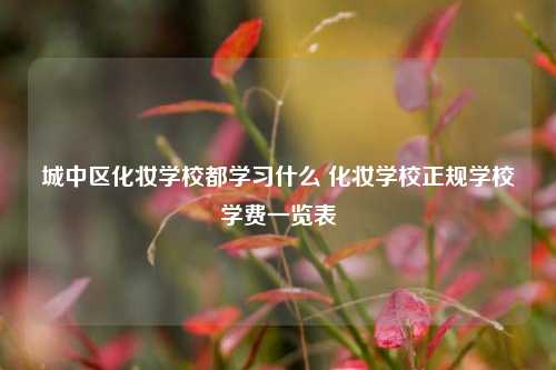 城中区化妆学校都学习什么 化妆学校正规学校学费一览表