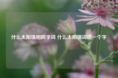 什么太阳填相同字词 什么太阳填词语一个字