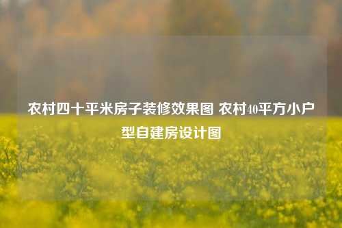 农村四十平米房子装修效果图 农村40平方小户型自建房设计图