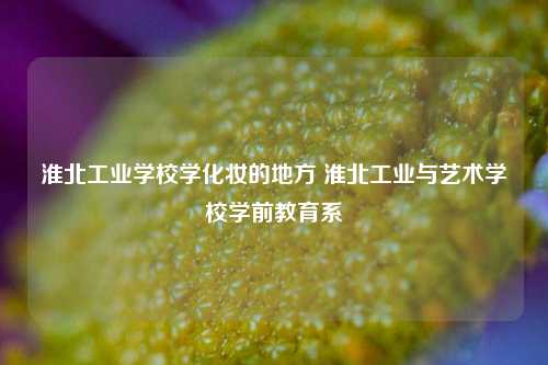 淮北工业学校学化妆的地方 淮北工业与艺术学校学前教育系