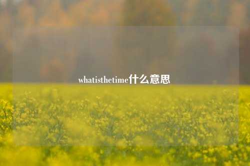 whatisthetime什么意思